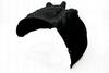 LOCARO ANT SX PARTE POST VW TOUAREG 12/10>